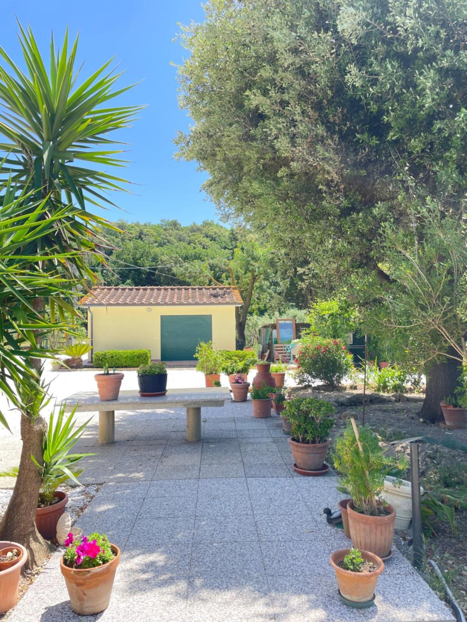 Il Leccio Agriturismo Fiorino Exteriér fotografie