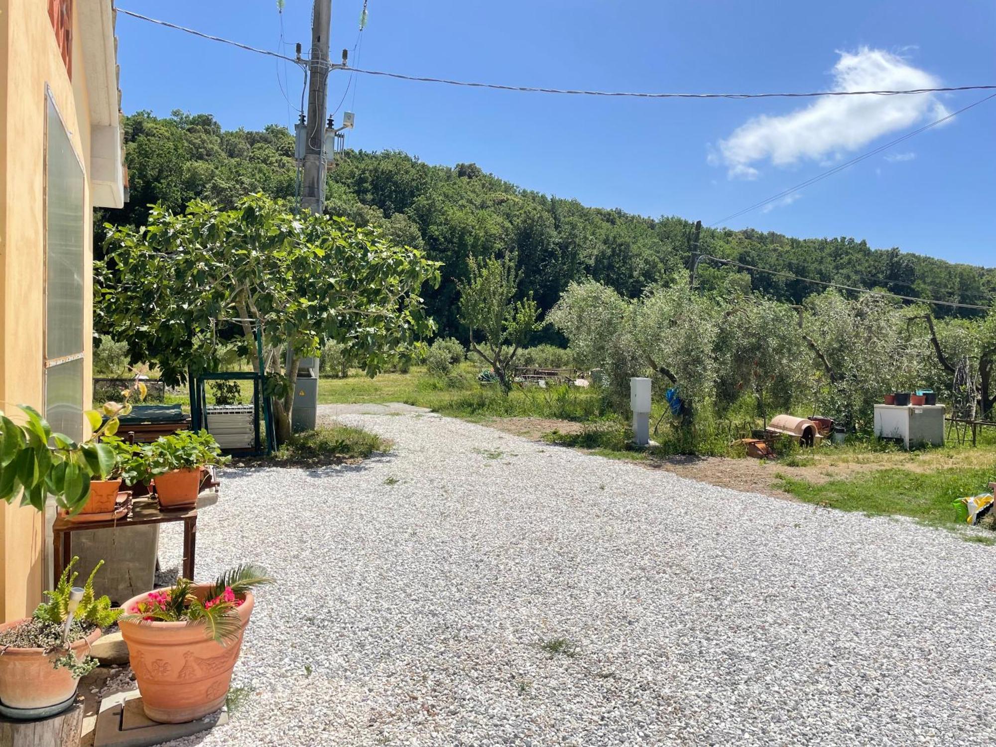 Il Leccio Agriturismo Fiorino Exteriér fotografie