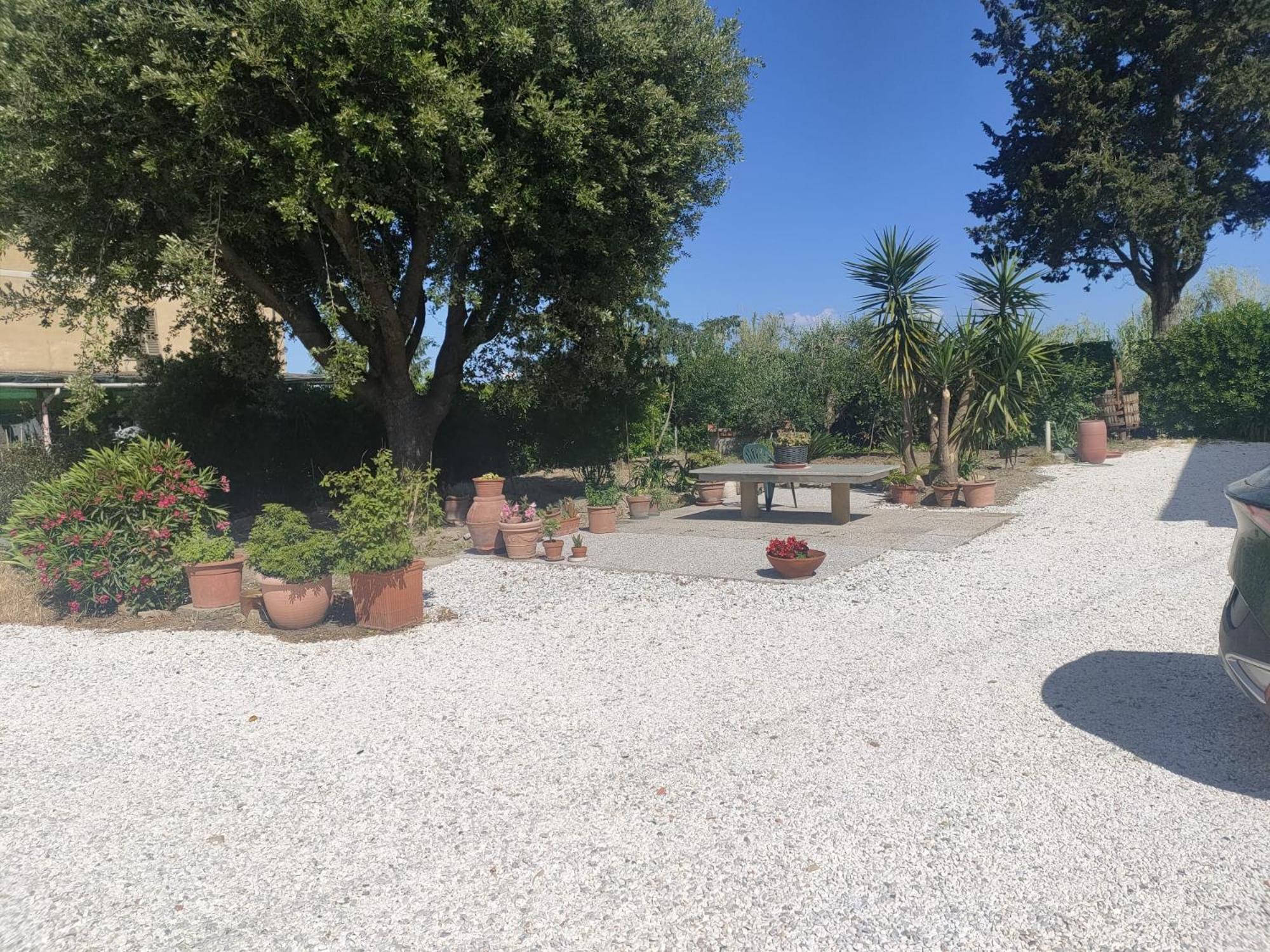 Il Leccio Agriturismo Fiorino Exteriér fotografie